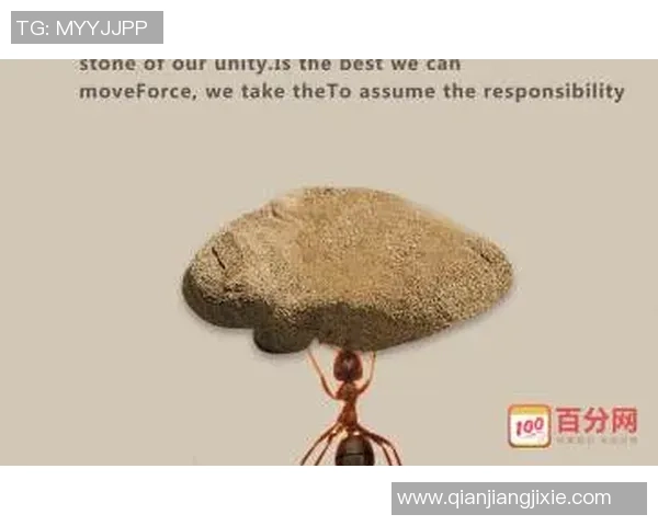 浓眉坚定信念:自我反思是解决问题的关键所在 浓眉坚定信念:自我反思是解决问题的关键所在